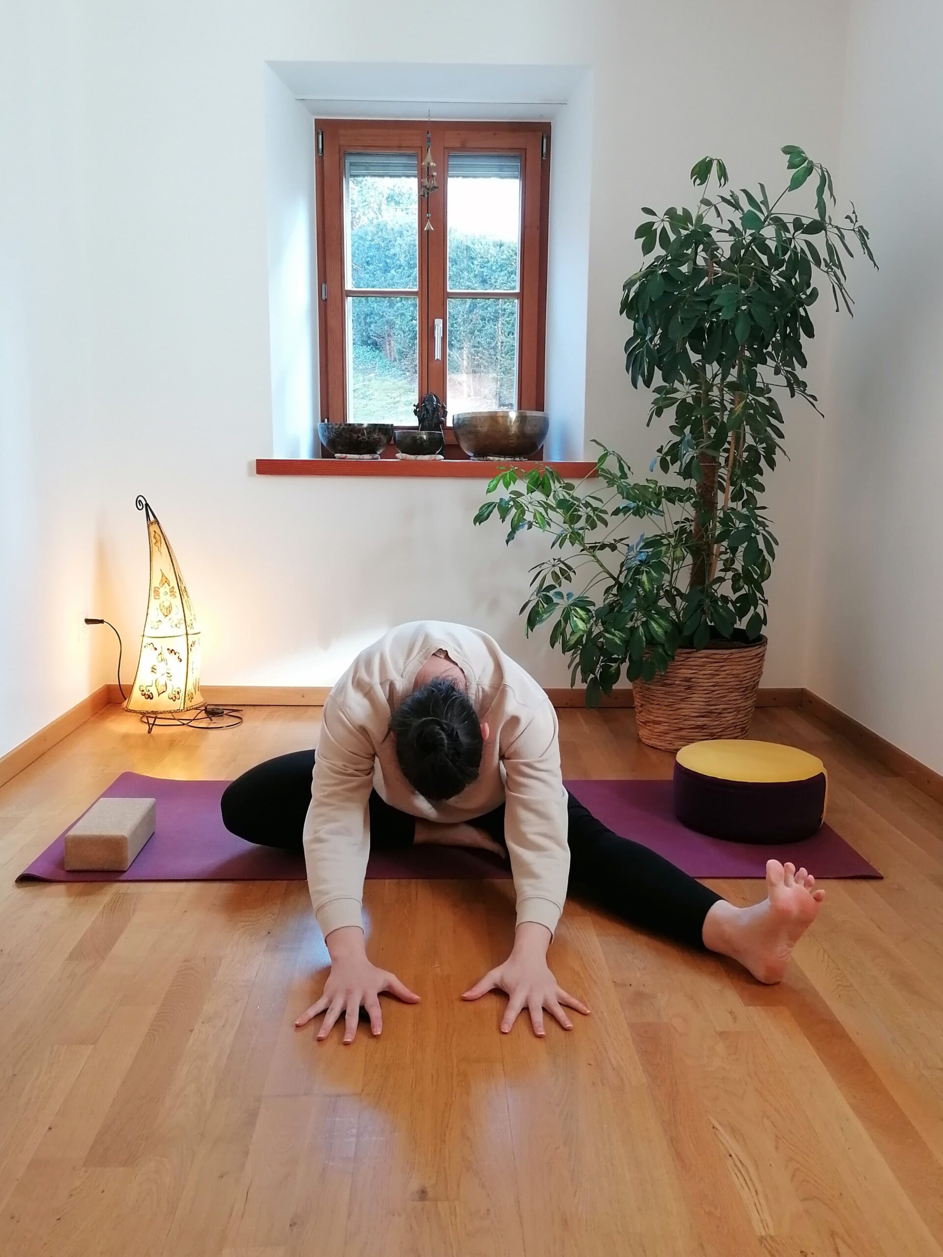 Rosmarie Marxer Yin Yang Yoga Vaduz Schaan