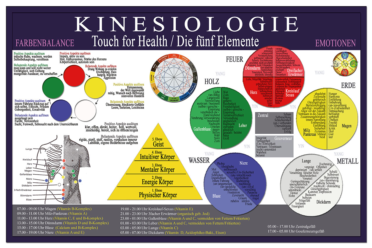 Kinesiologie Plakat